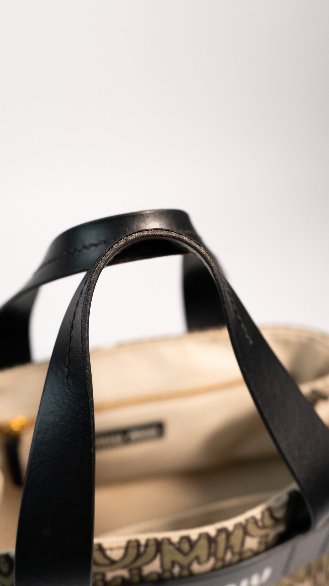Miu Miu Everywhere Bag