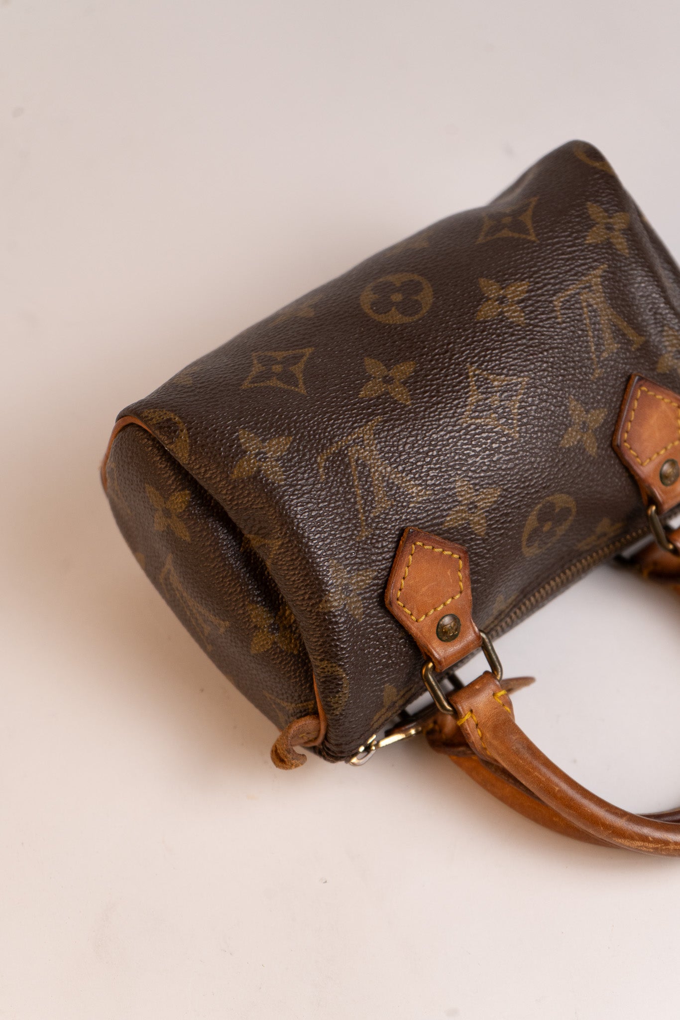 Louis Vuitton Speedy Nano