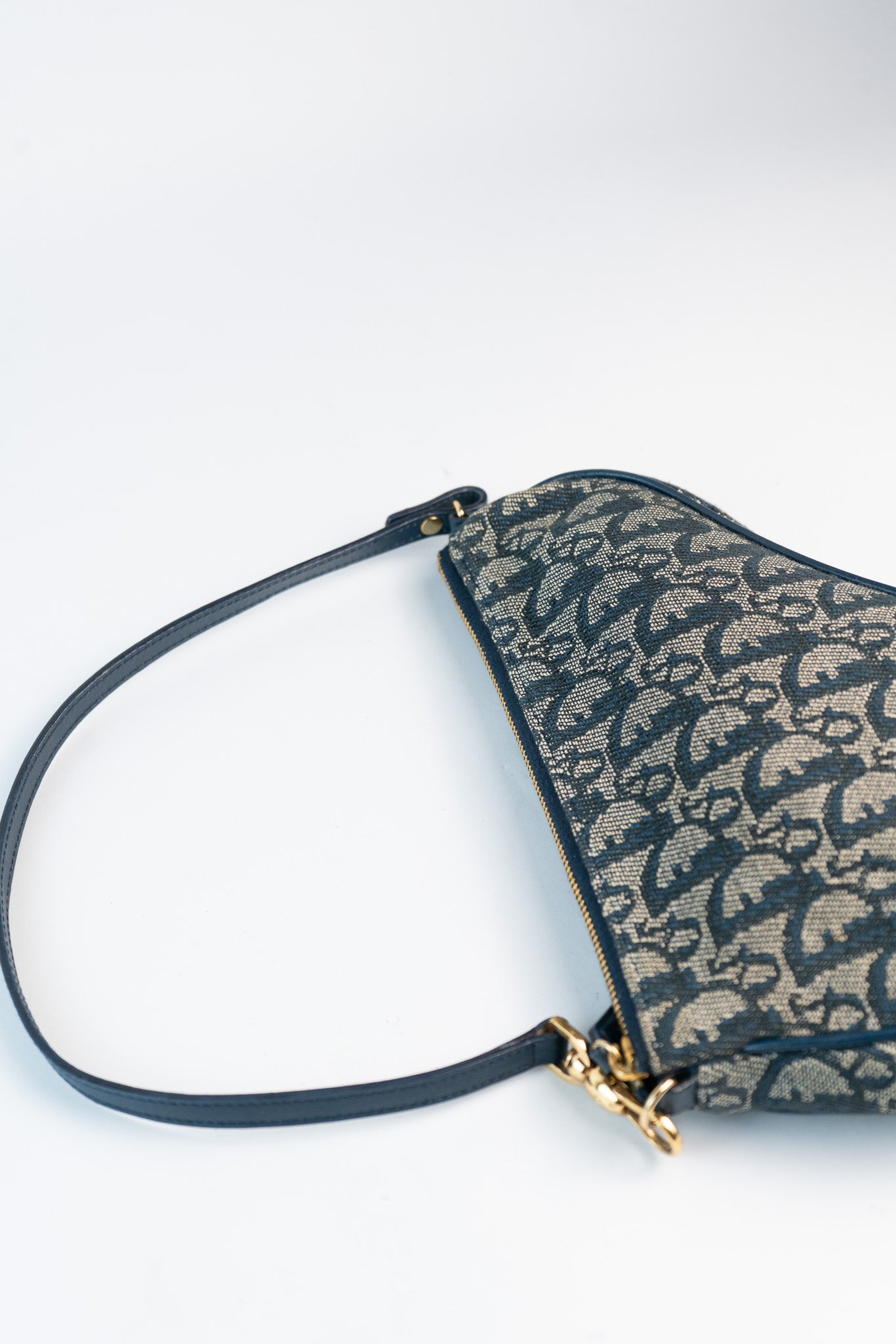 Dior Monogram Saddle Bag