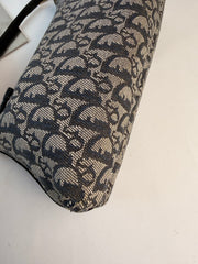 Christian Dior Trotter Bag